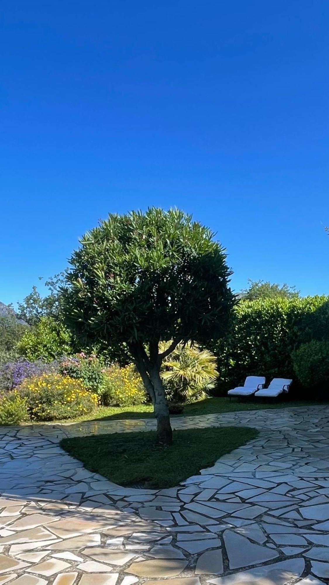 Rez De Jardin, Entre Et Montagne Apartamento *